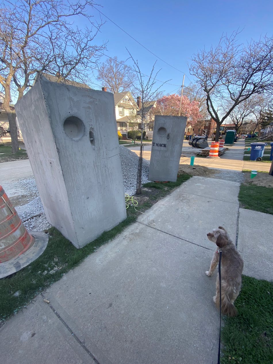 Dog for scale of construction equipment.