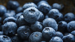 Ehstoday 2818 Blueberries