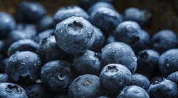 Ehstoday 2818 Blueberries