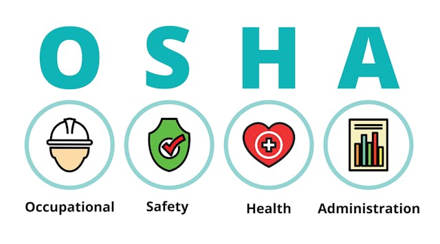 Osha Icon Illo